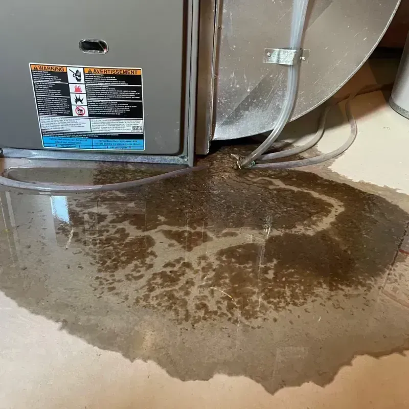 Appliance Leak Cleanup in Deer Park, IL